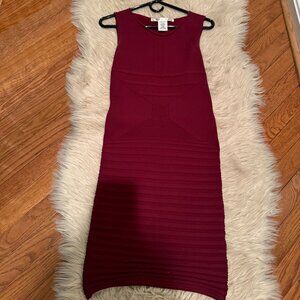 Max Studio stunning cranberry bodycon dress